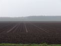 Fertile ground