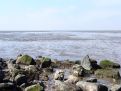 From behind the rocks