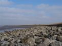 Rocks, ocean, horizon