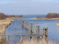 Watery landscape