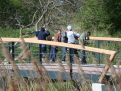 Boyz on the bridge