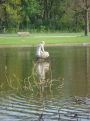 statue in the water