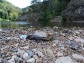 water beyond the rocks