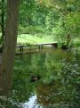 little bridge in the park