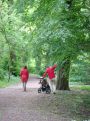 Walk in the park