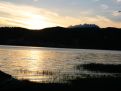Golden sunset