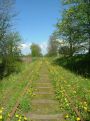 Abandoned railroad