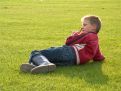 laying on the grass