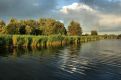 Oostvaardersplassen, vergezicht