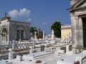 Old cemetery