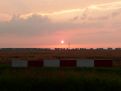 Zonsondergang over graanveld