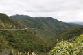 Rimutaka Forest road