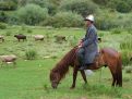 A man and his horse