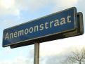 Anemoonstraat