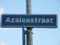 Azaleastraat