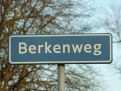 Berkenweg