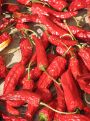 Red Hot chilli pepers