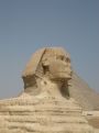 profile of the sphinx