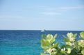 Boat on the horizon