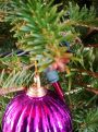 Tree, ball and light