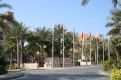 flags and palms