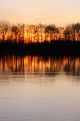 Great lake by the trees