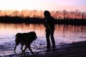 Out for a walk by the lake