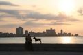 A man, his dog and the city