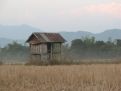 Little cottage on the land