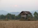 Little shelter