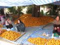 Orange market
