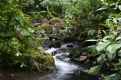 river in costa rica