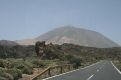 Pico del teide Tenerife