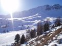 Sunny snowy landscape