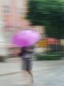 Purple-pink umbrella