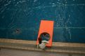 Learn how to swim