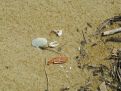 On the beach. Abel Tasman New Zealand