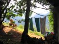 Laundry in nature