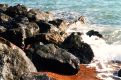 Rocks on coastline of Ventnor, Isle of Wight