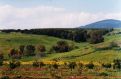 Jezreel Valley, Israel