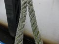 Hanging ropes