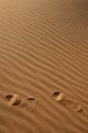 Desert