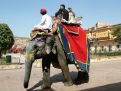 Elephent ride, india