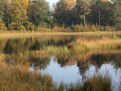 autumn reflection