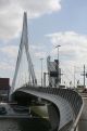 Erasmus bridge, "Swan", in Rotterdam