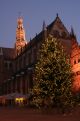 Bavo-church with christmas-tree