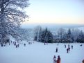 White wintery landscape