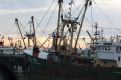 The Boats in Harlingen