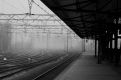 Haarlem station in fog
