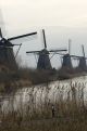 windmolens de kinderdijk